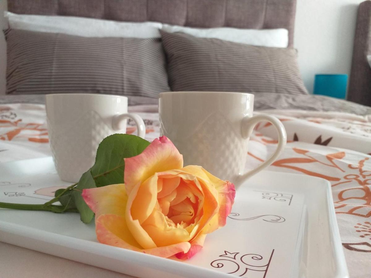 Apartments Karic Aerodrom Tuzla Dubrave Gornje 外观 照片